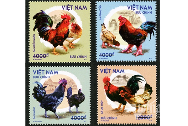 Bộ TT&TT sắp phát hành bộ tem bưu chính “Gà bản địa Việt Nam"